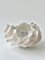 Ceramic Coral Bowl by N'atelier, Image 12