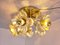 Mid-Century Modern Brass & Glass Ceiling Light by Simon and Schelle for Sische, Image 6