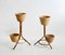Bamboo and Rattan Plant Holders, Italy, 1950s, Set of 2 1