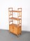 Mid-Century Italian Rattan and Bamboo Bookcase with Doors, 1970s 7