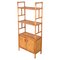 Mid-Century Italian Rattan and Bamboo Bookcase with Doors, 1970s, Image 2