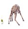 20th Century Bronze Giraffes, Set of 2 8