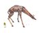 Giraffen aus Bronze, 20. Jh., 2er Set 9