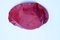 Rote Sarria Schale aus gebürstetem Metall von Lluis Clotet für Alessi 4