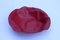 Rote Sarria Schale aus gebürstetem Metall von Lluis Clotet für Alessi 3