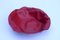 Rote Sarria Schale aus gebürstetem Metall von Lluis Clotet für Alessi 2