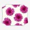 Dalia Fuchsia Shiny Cream Placemat by MariaVi, Image 1