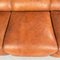 Mid-Century Italian Brown Leather Plastic Sofa Flou by Betti Habitat Ids, 1970s 9