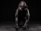 Estatua de mono caminando cubierta de cuero, Imagen 8