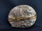 Montierte Bronze Amethyst Geode Box, 19. Jh 6