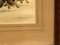 Charles Fernand De Condamy, Peinture Basset Hound, Fin du 19ème Siècle, Aquarelle sur Papier 10