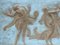 Cortege Bachique Andenken Bas Relief aus Gips vom Louvre Twentieth 2