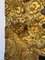 Antique Chinese Panel in Ironwood with Gilding Dragon Head 6