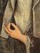 Ritratto di monaca, XVIII secolo, olio su tela, in cornice, Immagine 4