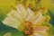 Flores, Años 90, Italia, Oleo sobre lienzo, Enmarcado, Imagen 3