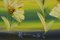 Flowers, anni '90, Italia, Olio su tela, Con cornice, Immagine 2