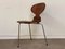 Mid-Century Danish Ant Chair in Rosewood by Arne Jacobsen for Fritz Hansen, 1950s, Image 1