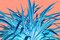 Sumit Mehndiratta, Beachside Botanics, 2021, Impresión Giclee en lienzo, Imagen 1