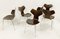 Chaises de Salon Mid-Century par Arne Jacobsen pour Fritz Hansen, Danemark, Set de 6 14