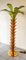 Brass Palm Floor Lamp with Murano Glass 12