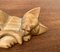 Figura de leona durmiente vintage de madera, Imagen 3