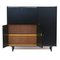 Mid-Century Cabinet Sideboard CE09 by Cees Braakman for Pastoe, 1960s 5