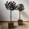 Mid-Century Blacksmith Steel Decorative Trees, Set of 2 11