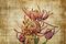 Sumit Mehndiratta, Vintage Chrysanthemum, 2022, Archival Ink Print on Canvas, Image 1