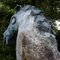 Monumental Bronze Sculpture Cavallo by Luigi Broggini, 1966 5