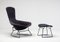 Bird Chair and Ottoman by Harry Bertoia for Knoll International, Set of 2, Image 2
