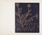 After Pablo Picasso, Plante aux Toritos, 1962, Linocut Print, Image 1
