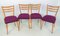 Mid-Century Czechian Dining Chairs by Tvar Doubí, 1960s, Set of 4, Image 2