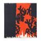 Framed Foulard Scarf by Giuseppe Paregrossi for Galleria Del Cavallino, 1960s, Image 1