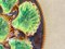 20th Century Majolica Green Oyster Plate 2