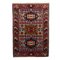 Russian Shirvan Rug in Cotton & Wool 1