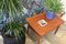 Coffee Table in Solid Teak by Tove & Edvard Kindt Larsen for Seffle Möbelfabrik 3