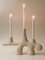 White Candelabra 02 by Jan Ernst 2