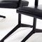 Ariade Chairs by Friso Kramer for Auping, Set of 2 7