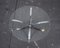 Space Age Coffee Table, 1960s, Image 6
