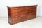 Large Mahogany Museum Chest of Drawers, 19th Century 2