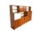 Vintage Made to Measure Wall Unit by Cees Braakman for Pastoe 4