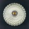 Large Mid-Century German Bubble Glass Flush Mount Ceiling Lamp or Sconce by Helena Tynell for Limburg, 1960s, Image 3