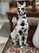 Harlequin Great Dane in Bassano Pottery 4