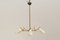Mid-Century 5 Armed Brass and Glass Pendant Lamp 1