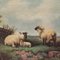 Scena di pecora inglese, anni '80, olio su tela, con cornice, Immagine 4