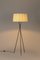 Lámpara de pie Diplomatic Tripode G5 de Santa & Cole, Imagen 3