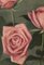 Emile Lejeune, Trois roses, 1954, Oil on Board, Image 4