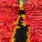 Boujad Berber Rug in Wool, Image 2