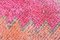Alfombra de pasillo vintage rosa de lana, Imagen 10