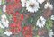 Oliveras, Fleurs de Printemps, Huile sur Panneau, Encadrée 2